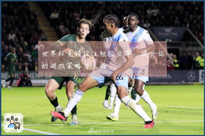 世界杯竞猜投注经验分享，提升你的游戏策略与乐趣