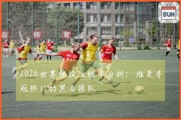 2026世界杯投注赔率分析：谁是夺冠热门的黑马团队