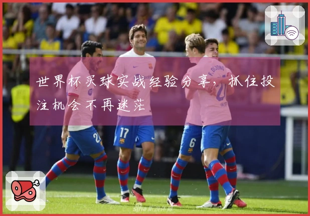 世界杯买球实战经验分享，抓住投注机会不再迷茫