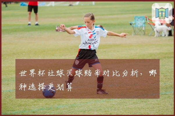 世界杯让球买球赔率对比分析，哪种选择更划算