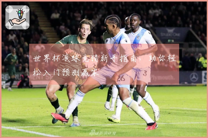 世界杯滚球竞猜新手指南，助你轻松入门预测赢家